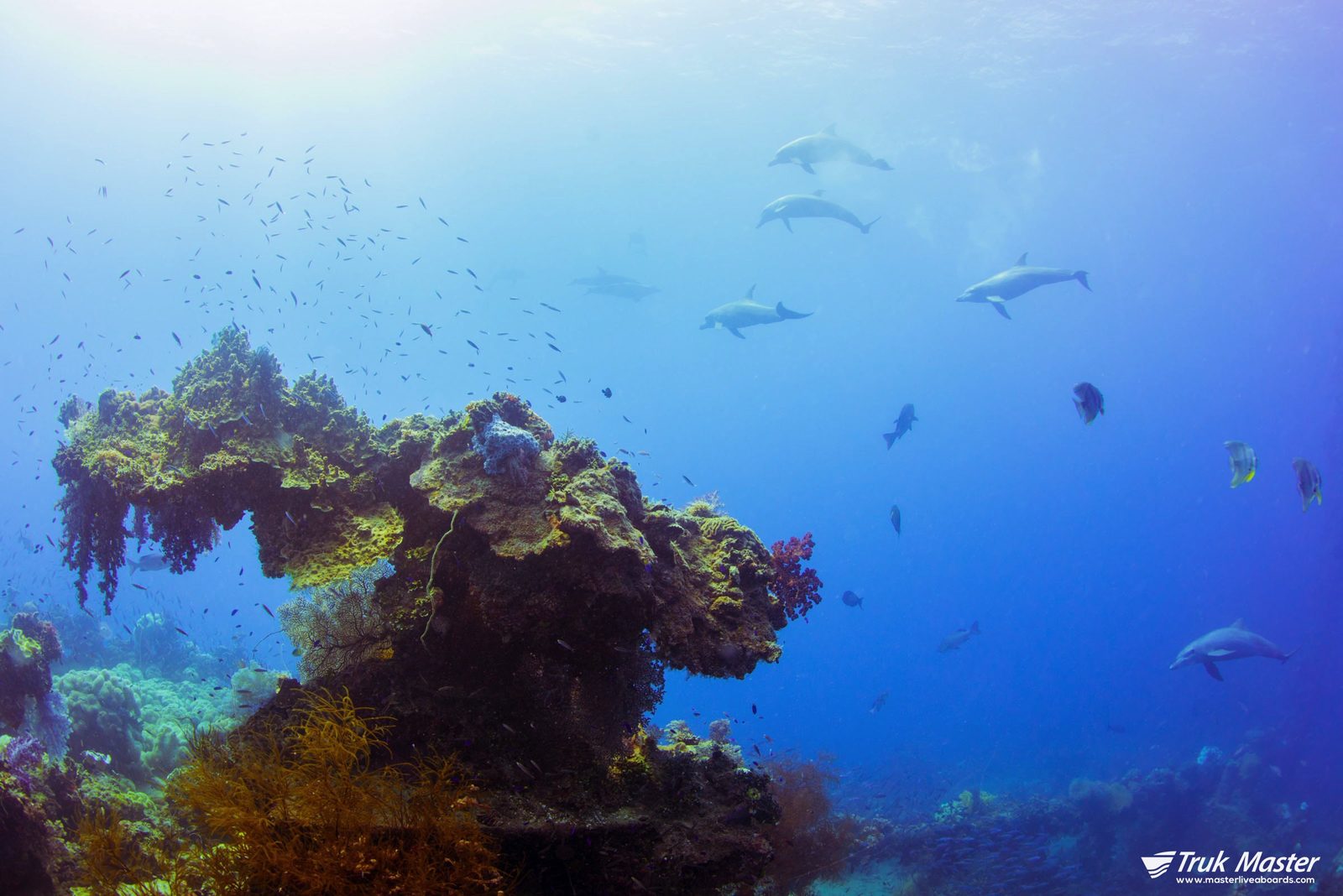 Wreck profile in blue water — Shinkoku Maru