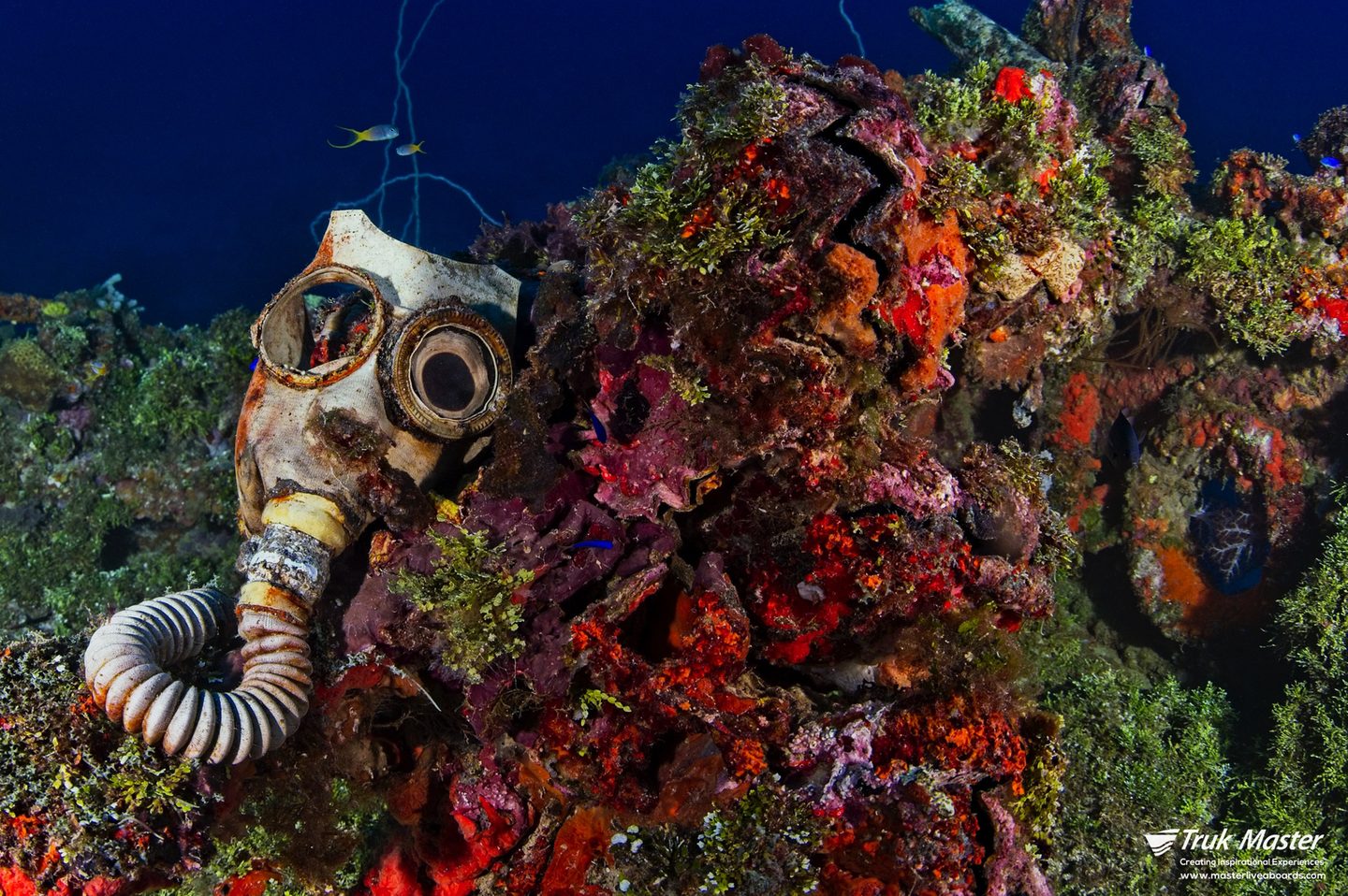 Marine-grown engine block — Unkai Maru No. 6